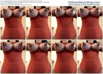 stripchat-celine_bell20-05-07-2025-03-57-14