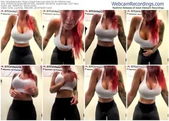 stripchat-black-flamingo-05-09-2025-18-54-04