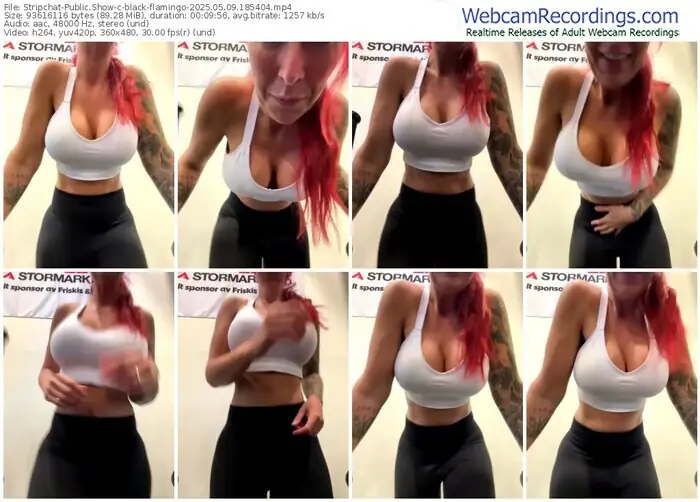 stripchat-black-flamingo-05-09-2025-18-54-04