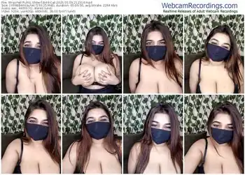 stripchat-bold-cat-05-09-2025-21-23-14