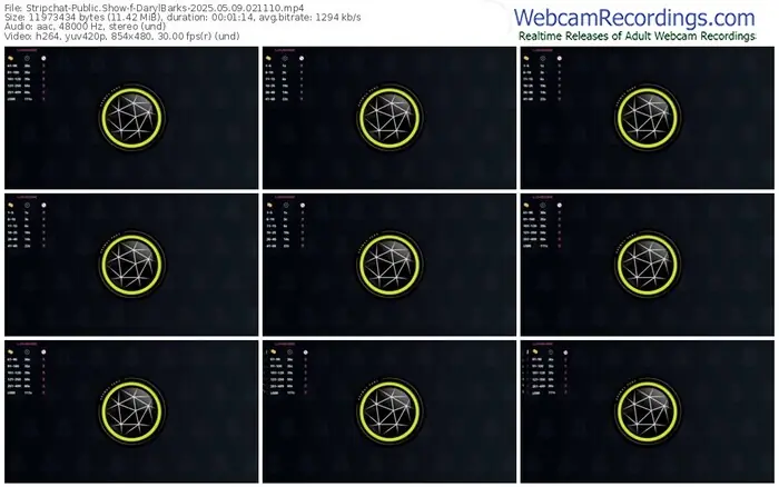 stripchat-darylbarks-05-09-2025-02-11-10