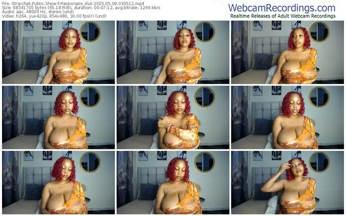 stripchat-passionate_slut-05-09-2025-03-35-12