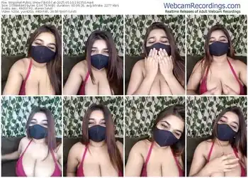 stripchat-bold-cat-05-10-2025-19-13-50