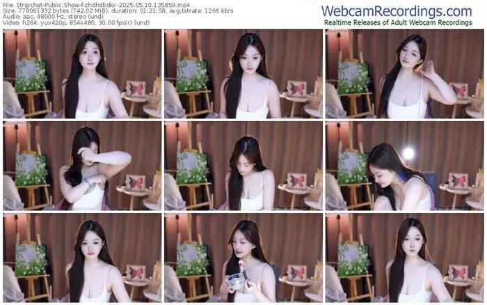 stripchat-zhdhdbdkx-05-10-2025-13-58-59