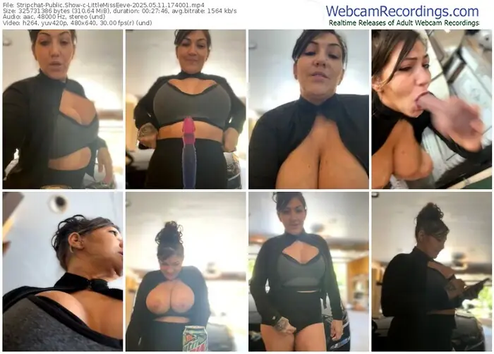 stripchat-littlemisseeve-05-11-2025-17-40-01