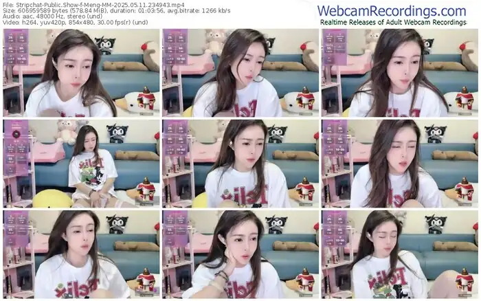 stripchat-meng-mm-05-11-2025-23-49-43