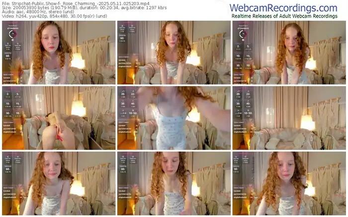 stripchat-_rose_charming_-05-11-2025-02-52-03