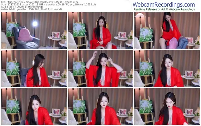 stripchat-zhdhdbdkx-05-11-2025-16-24-09