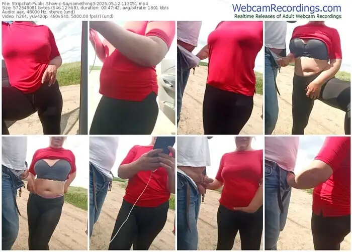 stripchat-saysomething3-05-12-2025-11-30-51