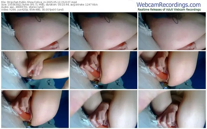 stripchat-alice_in-05-12-2025-15-21-07