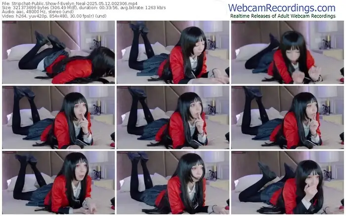 stripchat-evelyn_neal-05-12-2025-00-23-06