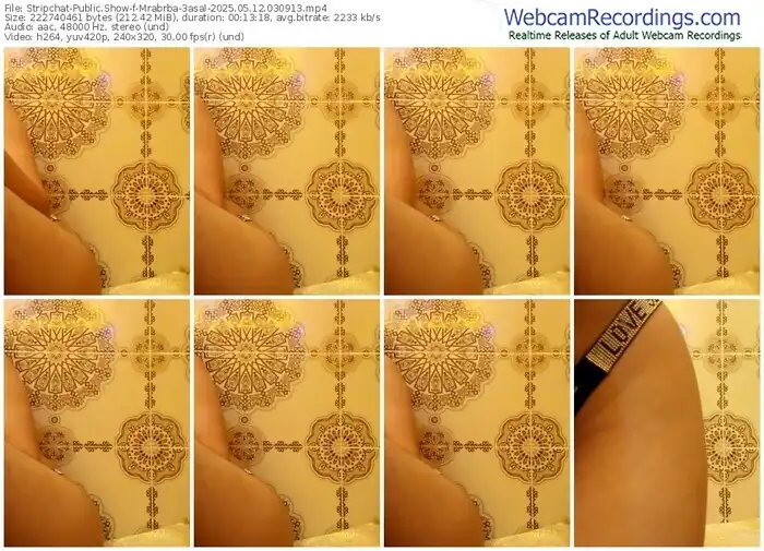stripchat-mrabrba-3asal-05-12-2025-03-09-13