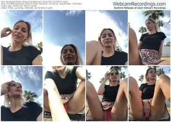 stripchat-vikabunny1-05-12-2025-13-47-03