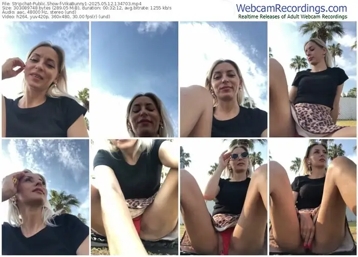 stripchat-vikabunny1-05-12-2025-13-47-03