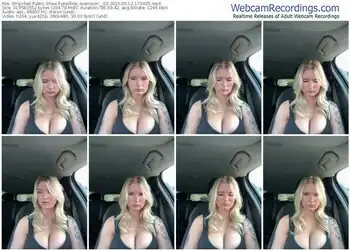 stripchat-josefine_svensson__02-05-12-2025-17-09-35