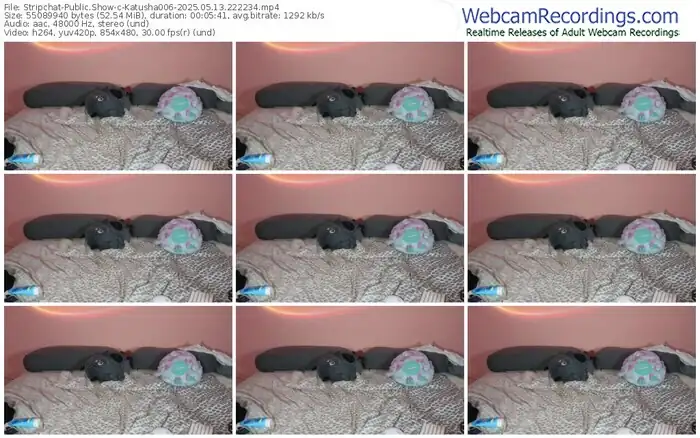 stripchat-katusha006-05-13-2025-22-22-34