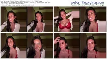 stripchat-lizhush_-05-13-2025-17-52-07