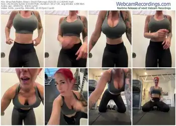 stripchat-black-flamingo-05-13-2025-18-29-43