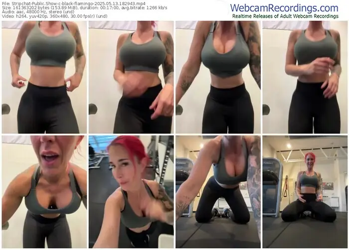 stripchat-black-flamingo-05-13-2025-18-29-43