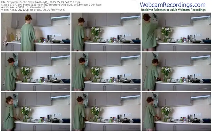 stripchat-ashleyd_-05-13-2025-04-22-52