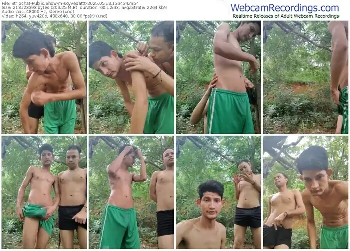 stripchat-soyvedattt-05-13-2025-13-34-34