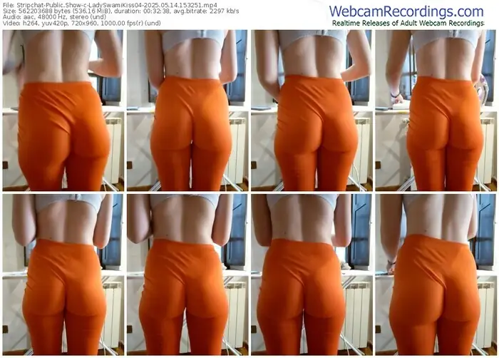 stripchat-ladyswamikiss04-05-14-2025-15-32-51
