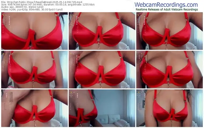stripchat-rexellabreed-05-14-2025-09-17-45