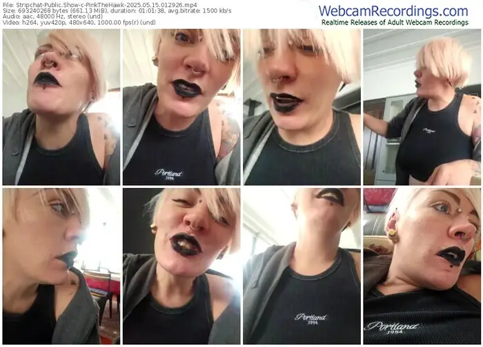stripchat-pinkthehawk-05-15-2025-01-29-26
