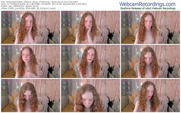 stripchat-_rose_charming_-05-15-2025-01-07-34
