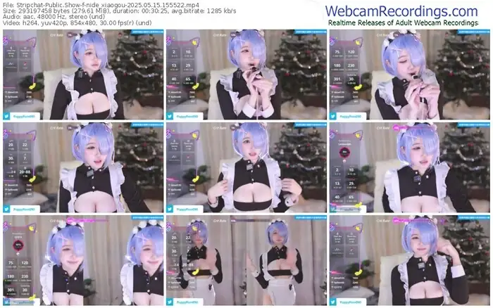 stripchat-nide_xiaogou-05-15-2025-15-55-22