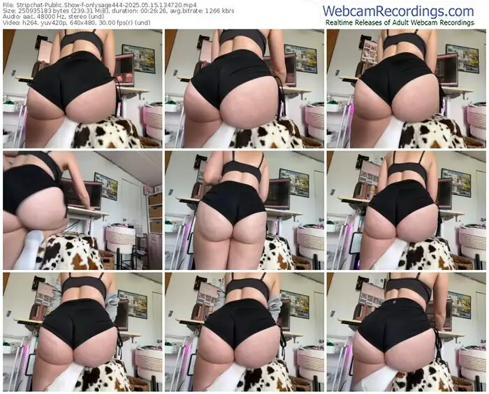 stripchat-onlysage444-05-15-2025-13-47-20