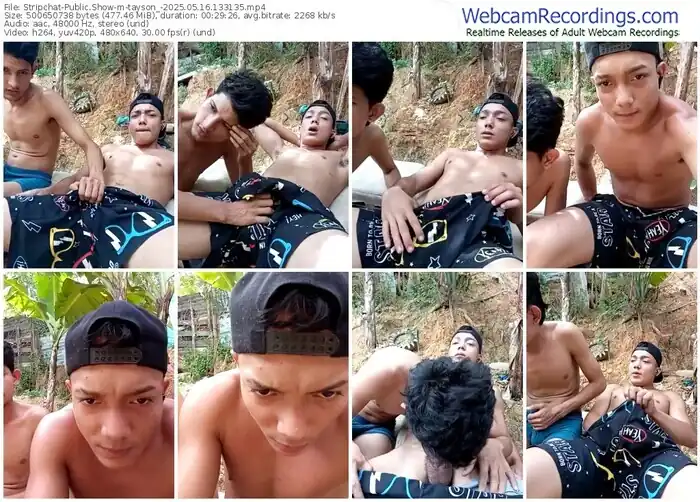 stripchat-tayson_-05-16-2025-13-31-35