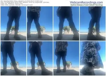 stripchat-bambol_yna-05-17-2025-13-18-07