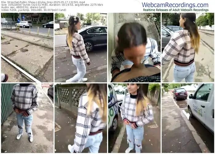 stripchat-eryka_grey-05-17-2025-13-15-01