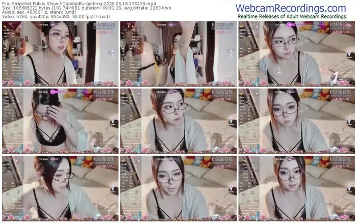 stripchat-dandanburgerking-05-18-2025-17-04-39