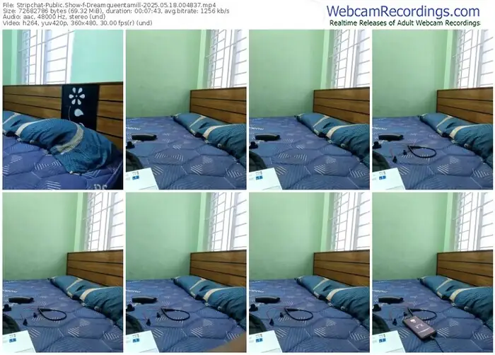 stripchat-dreamqueentamill-05-18-2025-00-48-37