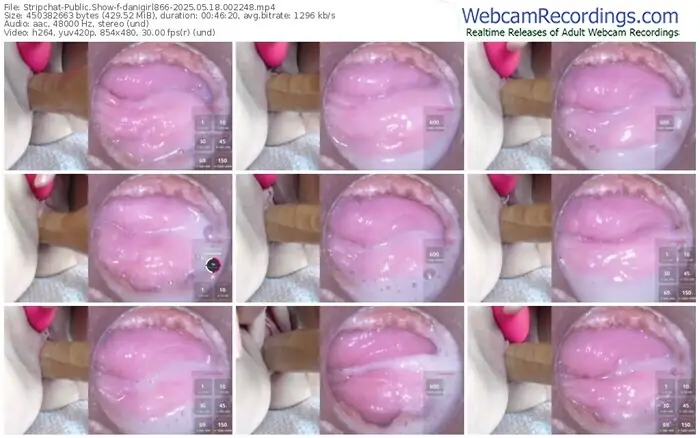 stripchat-danigirl866-05-18-2025-00-22-48