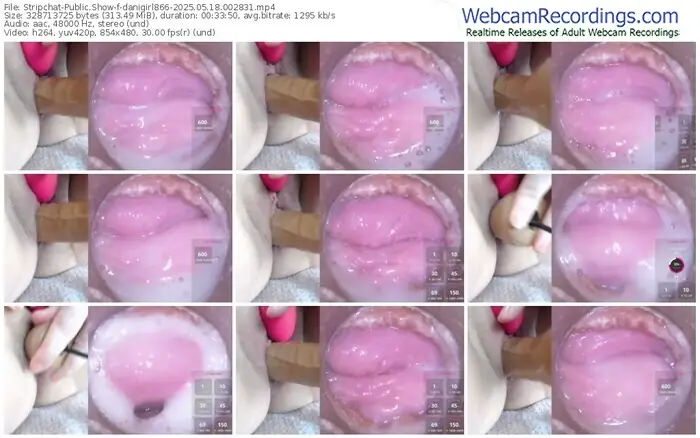 stripchat-danigirl866-05-18-2025-00-28-31