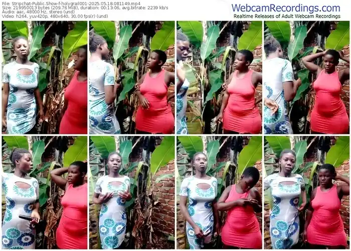 stripchat-holygrail001-05-18-2025-08-11-49