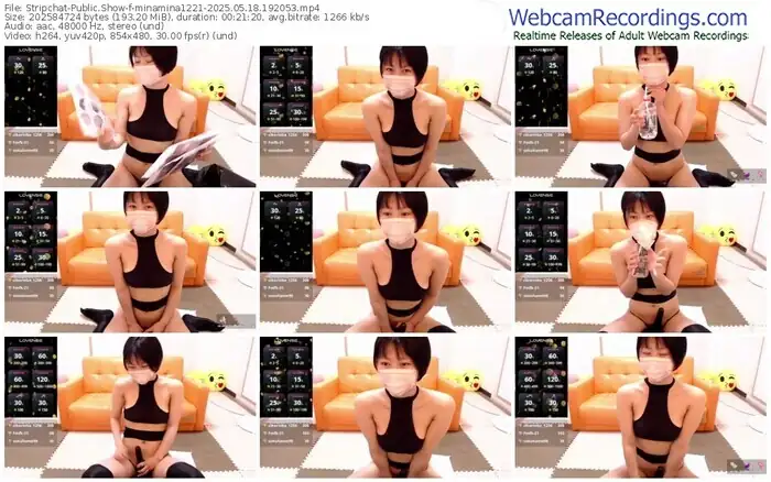 stripchat-minamina1221-05-18-2025-19-20-53