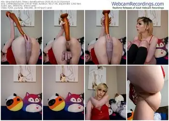 stripchat-amethystfoxx-05-19-2025-21-13-24