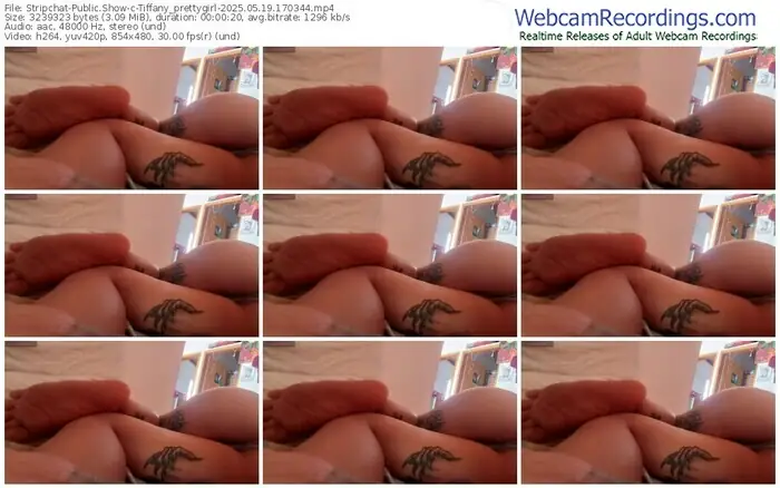 stripchat-tiffany_prettygirl-05-19-2025-17-03-44