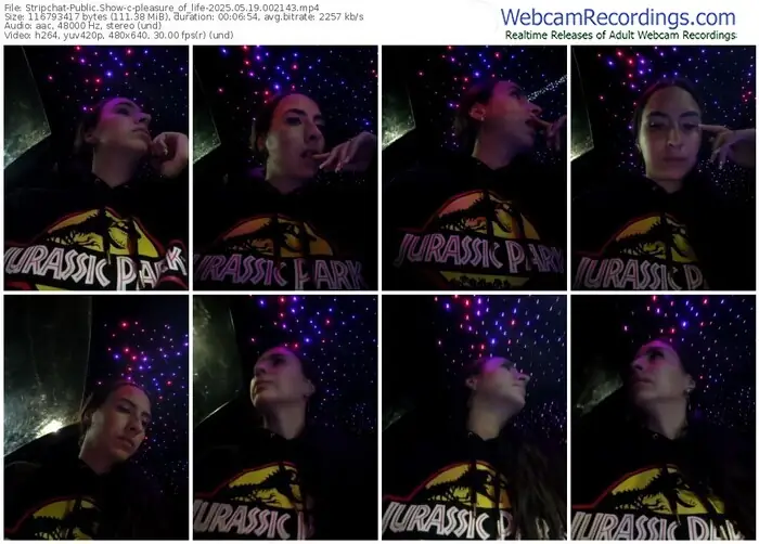stripchat-pleasure_of_life-05-19-2025-00-21-43