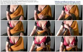 stripchat-gleaming-butterfly-05-19-2025-15-06-27