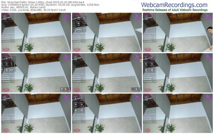 stripchat-abby_chad-05-20-2025-08-10-39