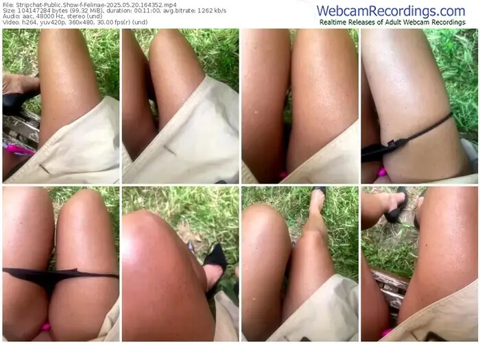 stripchat-felinae-05-20-2025-16-43-52