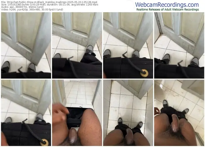 stripchat-black_mamba_madingo-05-20-2025-12-51-28