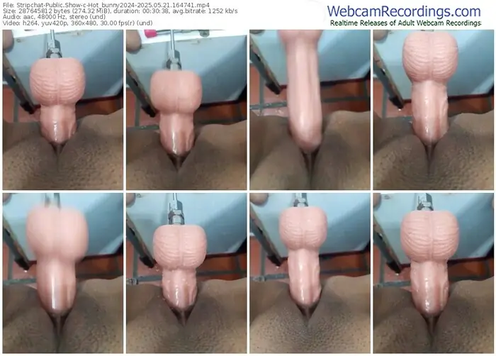 stripchat-hot_bunny2024-05-21-2025-16-47-41