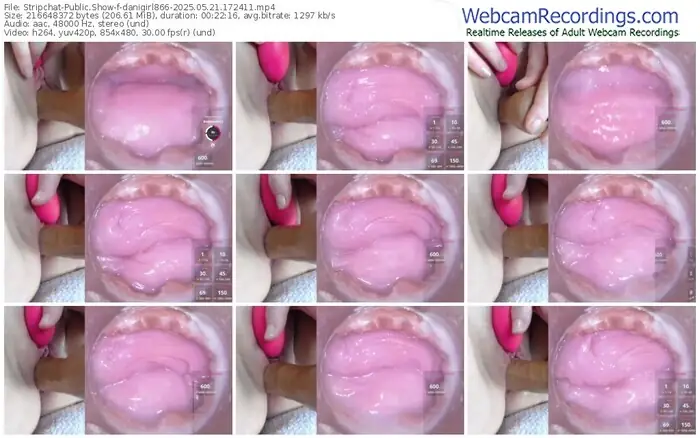stripchat-danigirl866-05-21-2025-17-24-11