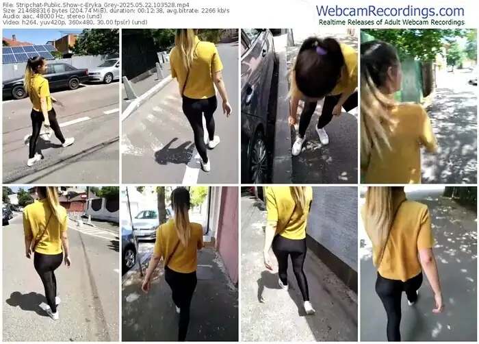 stripchat-eryka_grey-05-22-2025-10-35-28